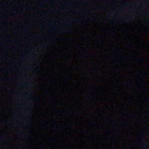 Meet your Posher, Dewanda